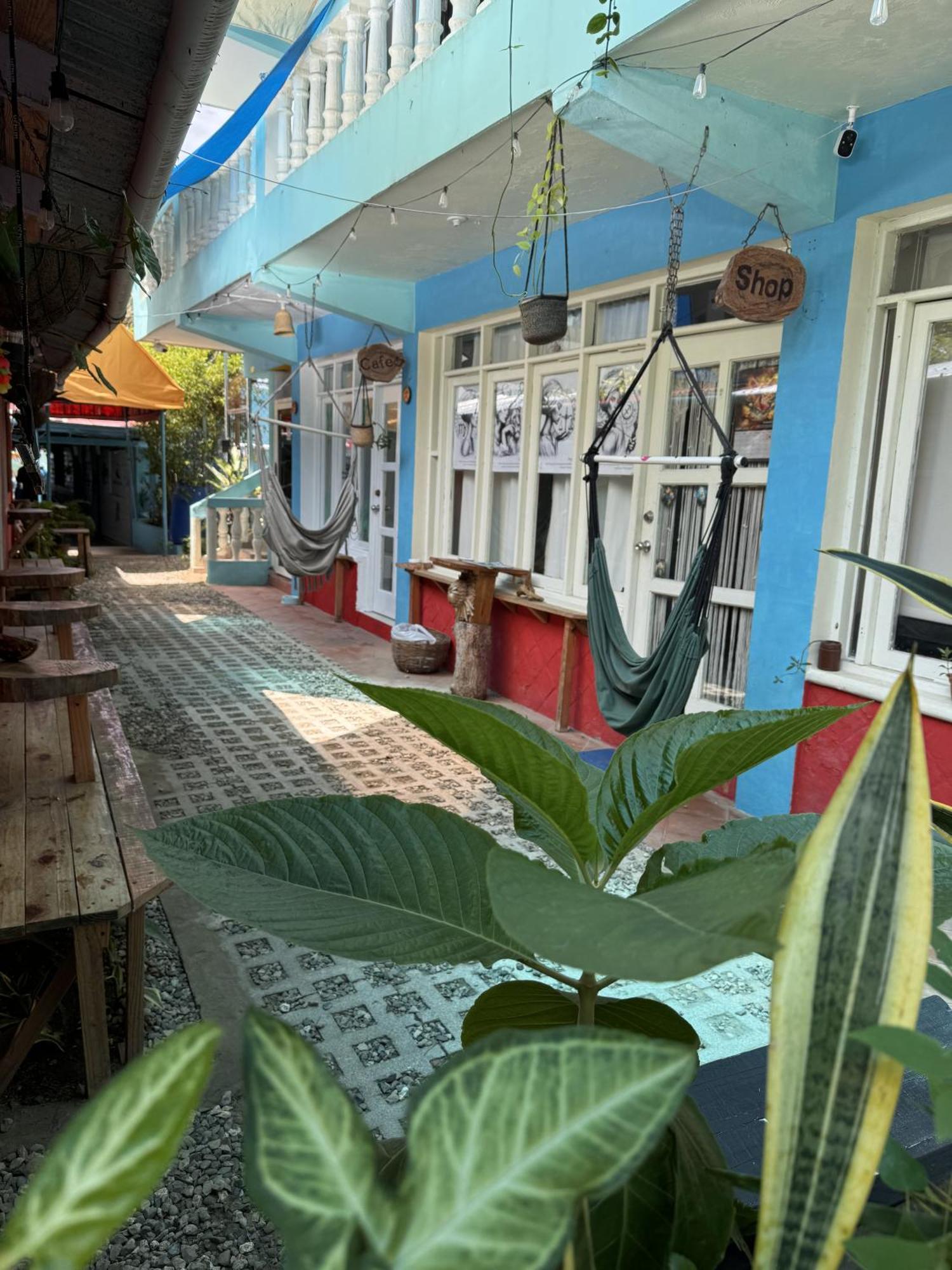 Wing Camp Cabarete Exterior foto